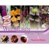 Thompson & Morgan Samen 'Wildblumen-Collection' -Biohort || Vitavia || Elho Verkaufsgeschäft 2531705 WE FS 001 ThompsonMorganWildblumenCollection