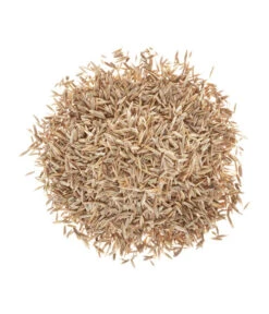 Wolf-Garten Wolf Premium-Rasen Supra -Biohort || Vitavia || Elho Verkaufsgeschäft 2682078 BildD 001 RasenSaatgutWolfPremiumRasenSupraPremiumRasenSupra25Qm