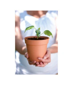 Elho Starter-Set Töpfe, 10 Stück -Biohort || Vitavia || Elho Verkaufsgeschäft 3009693 WE MO 001 StarterSetToepfeSchwarz10StueckElho