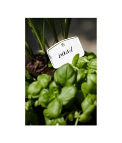 Elho Pflanz-Stift, 5 Stück -Biohort || Vitavia || Elho Verkaufsgeschäft 3266806 MO FS 001 PflanzstiftMweissElhoEtikett