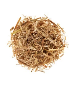 Neu eingetroffen -Biohort || Vitavia || Elho Verkaufsgeschäft 3940285 BildD 001 PilzmaennchenBioHomePilzzuchtsetAusternpilzPilzbrutAusternpilzSet