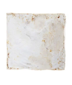 Pilzmännchen Bio Pilzzuchtset Austernpilz -Biohort || Vitavia || Elho Verkaufsgeschäft 3940285 BildD 002 PilzmaennchenBioHomePilzzuchtsetAusternpilzPilzbrutAusternpilzSet