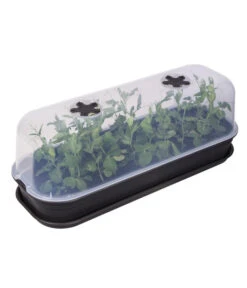 Elho Anzuchthaube L -Biohort || Vitavia || Elho Verkaufsgeschäft 4026704 WE FS 002 ElhoAnzuchthaubeAnzuchthausTransparent