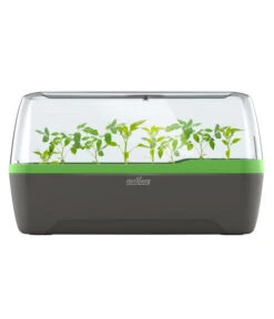 Romberg BoQube Gewächshaus -Biohort || Vitavia || Elho Verkaufsgeschäft 4299970 WE FS 005 RombergGewaechshausZimmergewaechshausAnzucht