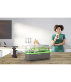 Romberg BoQube Gewächshaus -Biohort || Vitavia || Elho Verkaufsgeschäft 4299970 WE MO 001 RombergGewaechshausZimmergewaechshausAnzucht