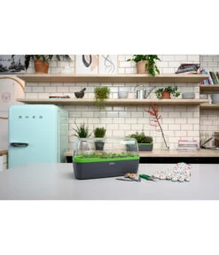 Romberg BoQube Gewächshaus -Biohort || Vitavia || Elho Verkaufsgeschäft 4299970 WE MO 002 BoQubeGewaechshausZimmergewaechshaus