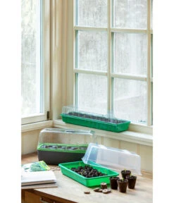 Romberg BoQube Gewächshaus -Biohort || Vitavia || Elho Verkaufsgeschäft 4299970 WE MO 004 BoQubeZimmergewaechshaus 1