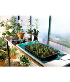 Bio Green Wärmeplatte Für Pflanzen