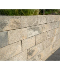 Diephaus Mauerstein Nomos Medio, Ca. B42/H12,5/T21 Cm -Biohort || Vitavia || Elho Verkaufsgeschäft 4382370 WE MO 001 DiephausNOMOSMEDIOMUSCHELKALK