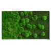 StyleGREEN Bild Aus Wald- Und Kugelmoos Im Verlauf, Ca. B100/H60/T7 Cm -Biohort || Vitavia || Elho Verkaufsgeschäft 6430631 WE FS 001 Wald Kugelmoosbild100x60cmStylegreen