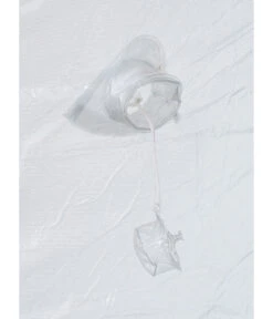 Florino Winterschutz-Zelt 27 Florino Winterschutz-Zelt -Biohort || Vitavia || Elho Verkaufsgeschäft 6894752 WE DE 007 WinterschutzzeltFlorinoM