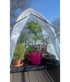 Florino Winterschutz-Zelt 20 Florino Winterschutz-Zelt -Biohort || Vitavia || Elho Verkaufsgeschäft 6894752 WE MO 002 WinterschutzzeltFlorinoM