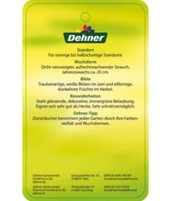 Portugiesischer Kirschlorbeer 'Angustifolia' 9 Portugiesischer Kirschlorbeer 'Angustifolia' -Biohort || Vitavia || Elho Verkaufsgeschäft 7362833 PortugiesischerKirschlorbeerAngustifolia Etikett 2