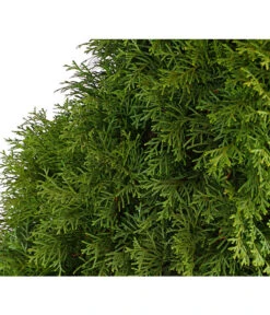 13 Meter Lebensbaum 'Smaragd', 40 X Ca. 100-125 Cm -Biohort || Vitavia || Elho Verkaufsgeschäft 7513534 WE DE 001 ThujaLebensbaumOccidentalisSmaragd20LDehnerExpressHerzig 2