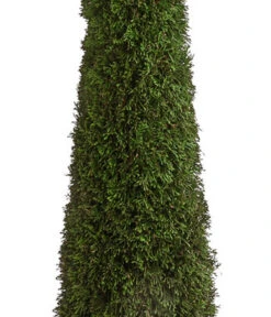 XXL Lebensbaum 'Smaragd' Torwächter 7 XXL Lebensbaum 'Smaragd' Torwächter -Biohort || Vitavia || Elho Verkaufsgeschäft 7548118 WE DE 001 ThujaLebensbaumTorwaechterH140