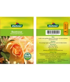 Beetrose 'Hansestadt Rostock®' -Biohort || Vitavia || Elho Verkaufsgeschäft 7866551 HansestadtRostockBeetrose Etikett1