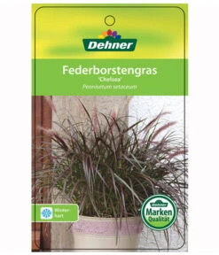 Lampenputzergras 'Chelsea' -Biohort || Vitavia || Elho Verkaufsgeschäft 8015687 PennisetumChelseaEtikett1