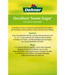 Oncidium - Oncidium Cultivars 'Sweet Sugar' -Biohort || Vitavia || Elho Verkaufsgeschäft 8249708 8251662 Oncidium Sweet Sugar Etikett 2