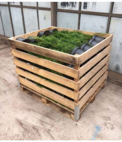 24 Meter Lebensbaum 'Smaragd', 80 X Ca. 60-80 Cm -Biohort || Vitavia || Elho Verkaufsgeschäft 8295156 WE FS 003 ThujaPalette5Liter