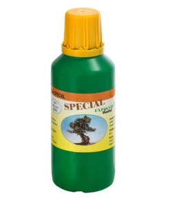 Bonsai Chinesischer Feigenbaum - Ficus Retusa, Anfänger-Set, 10 Jahre -Biohort || Vitavia || Elho Verkaufsgeschäft 8561573 WE FS 003 DuengerSetBonsai