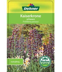 Persische Kaiserkrone -Biohort || Vitavia || Elho Verkaufsgeschäft 8664708 KaiserkroneSchwarz Etikett 1