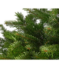 Nordmann-Tanne, Ca. 125-150 Cm, Im Topf Gewachsen -Biohort || Vitavia || Elho Verkaufsgeschäft 8995946 WE DE 001 AbiesNordmannianaNordmanntanne125 150Co8LDehnerExpressHerzig