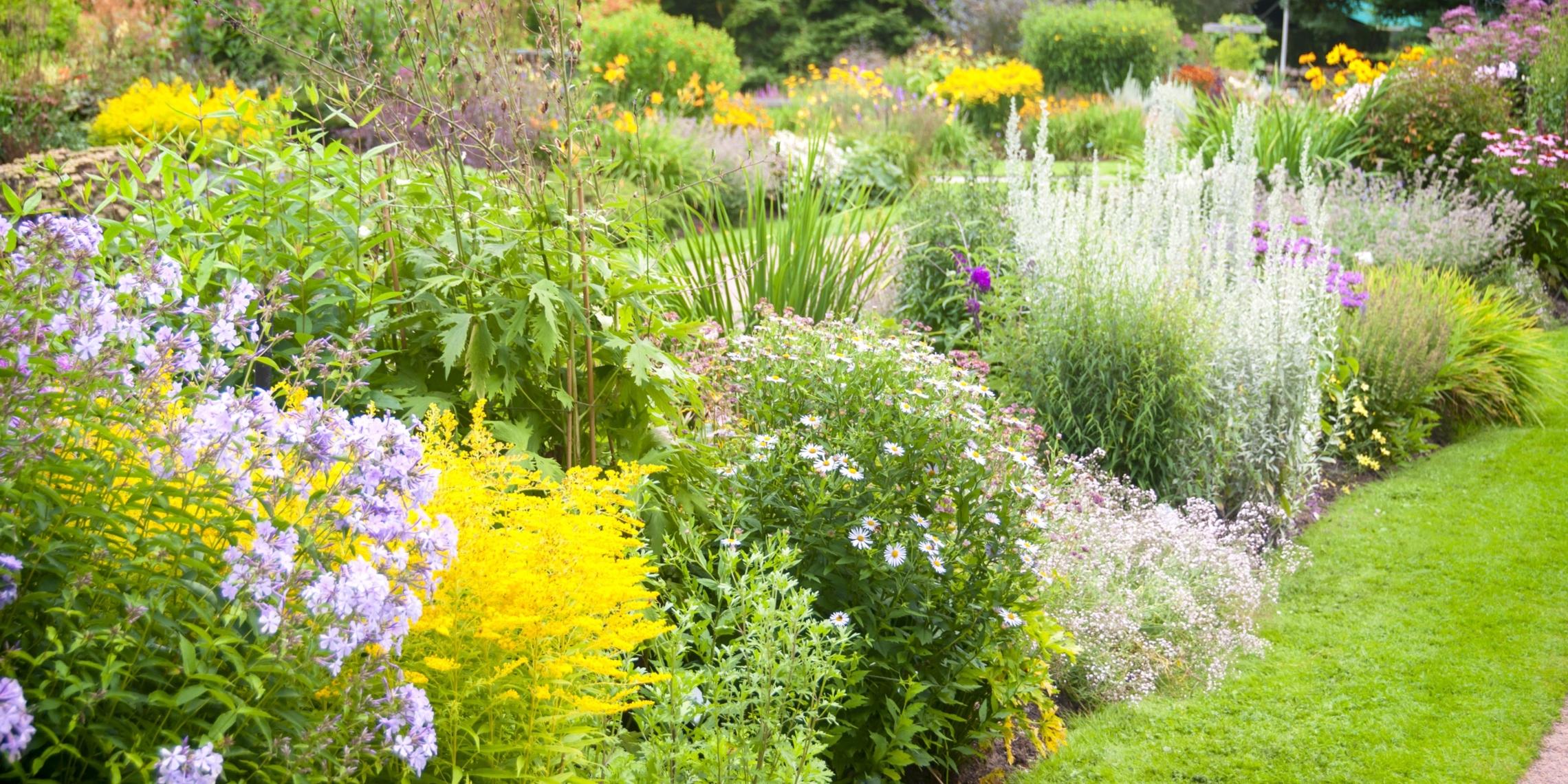 Titelseite -Biohort || Vitavia || Elho Verkaufsgeschäft 1 staudenpflanzenpflegenschneiden b02f51a66882496c881e82b3da68a02b